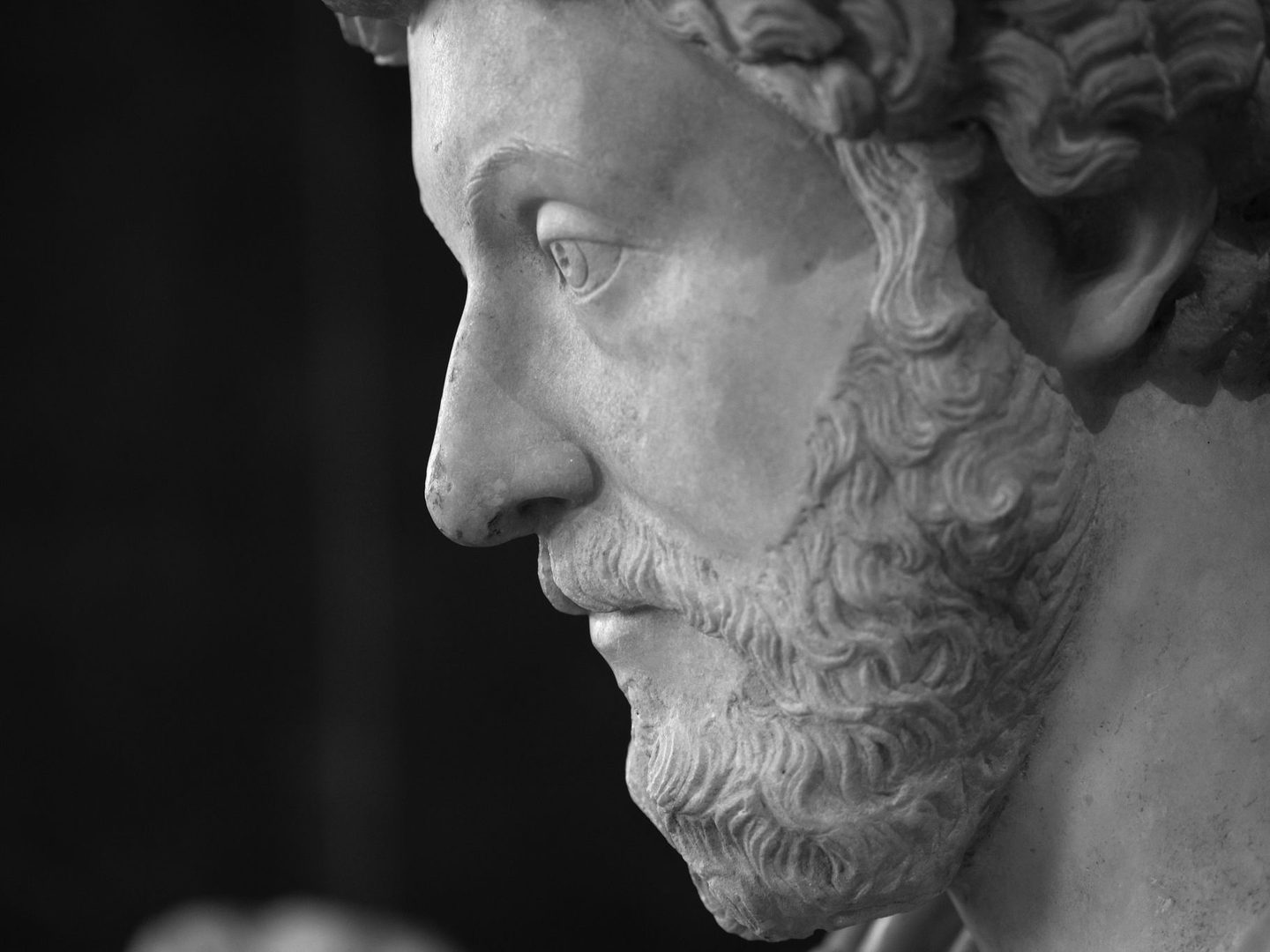 Marcus Aurelius marble bust in profile against a black background